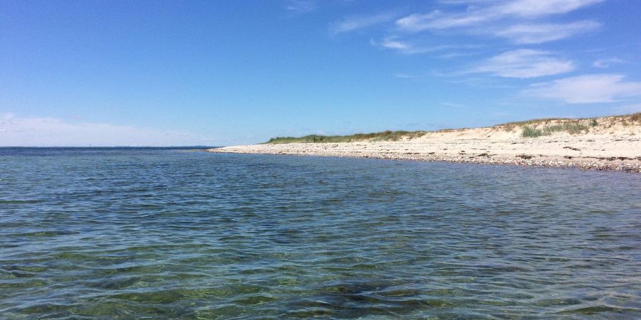Vedligeholdelsesfif