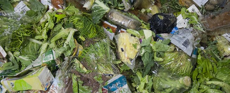 Kildesorteret organisk dagrenovation