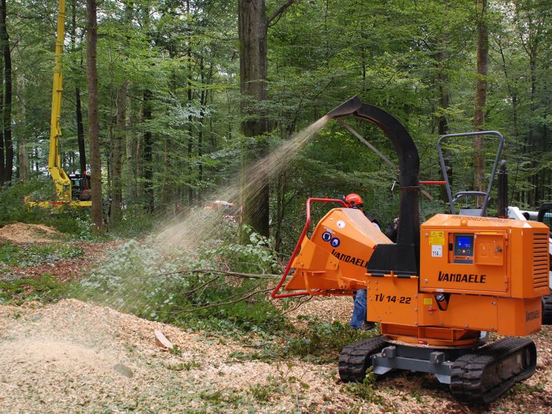 Flishugger på larvefødder Vandaele