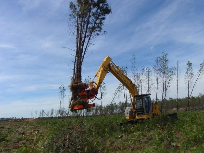 Woodcracker C550 - ReTec