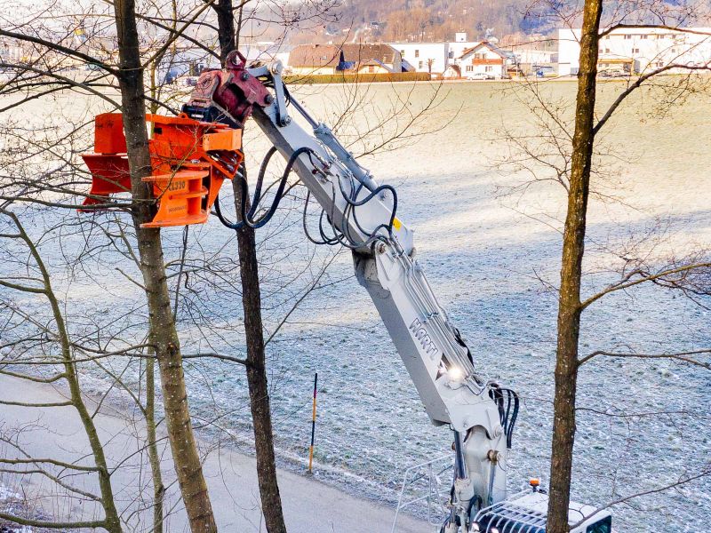 woodcracker-cl320-ReTec