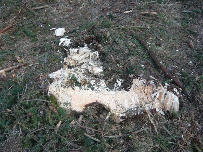 Snitflade Woodcracker S400