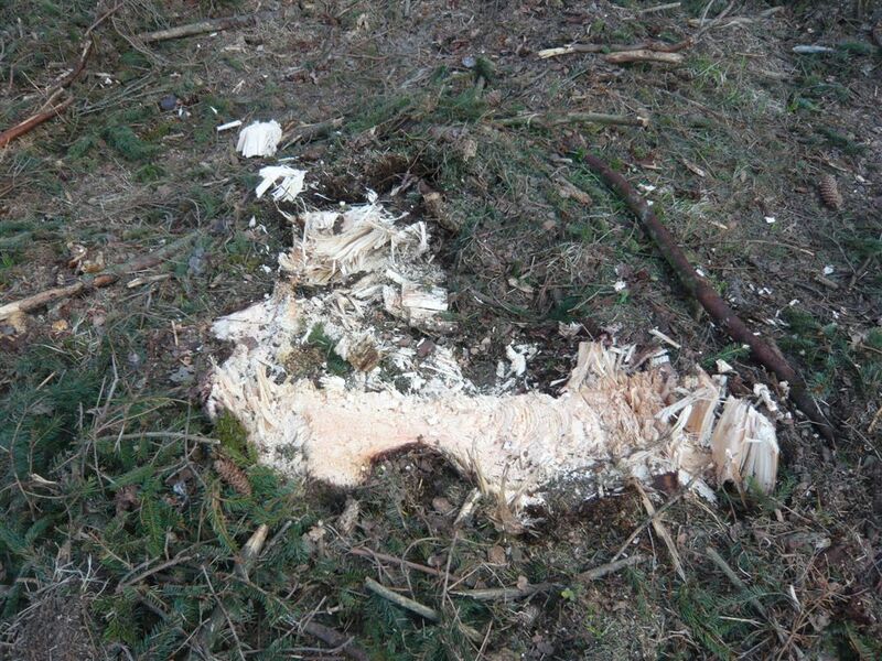 Snitflade Woodcracker S400