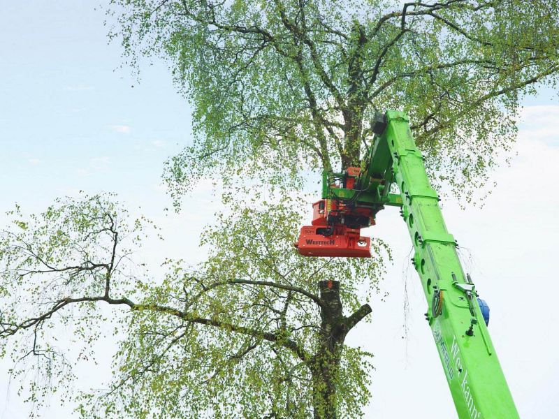 CS Woodcracker - ReTec