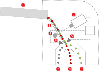 Redwave CX/CXF - ReTec