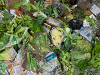 Forbehandling af organisk affald - ReTec